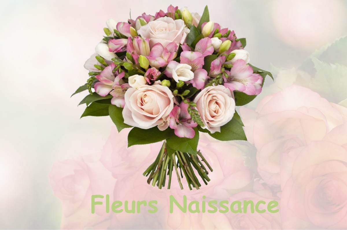 fleurs naissance NAVARRENX